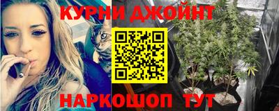 мяу мяу мука Краснознаменск