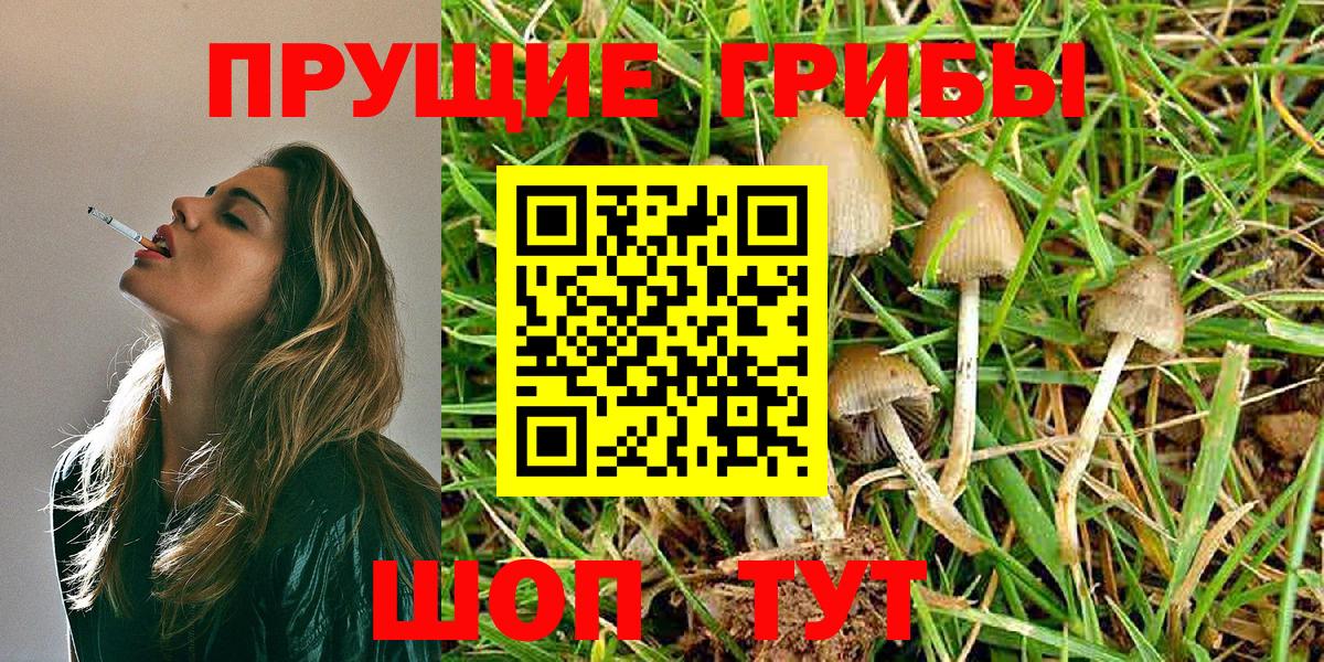 Галлюциногенные грибы Psilocybine cubensis  Вход с VPN  Кизилюрт  Галлюциногенные грибы GOLDEN TEACHER 