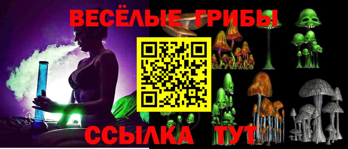 Псилоцибиновые грибы мицелий Кизилюрт